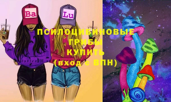 шишки Верхнеуральск